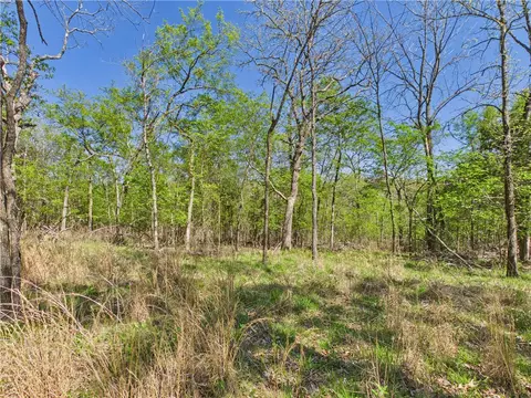 5340 E Persimmon Pt, Lead Hill, AR 72644 photo 7