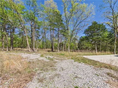 5340 E Persimmon Pt, Lead Hill, AR 72644 photo 3