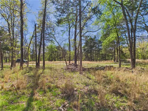 5340 E Persimmon Pt, Lead Hill, AR 72644 photo 8