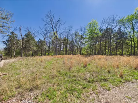 5340 E Persimmon Pt, Lead Hill, AR 72644 photo 6
