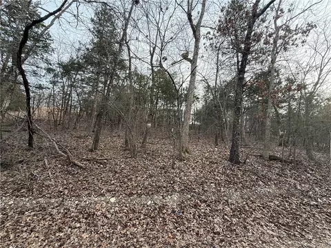 Mallard Drive, Diamond City, AR 72630