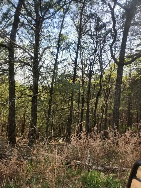 Lakeview, Ozark, AR 72847 photo 5