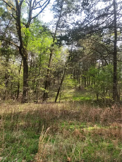 Lakeview, Ozark, AR 72847 photo 3