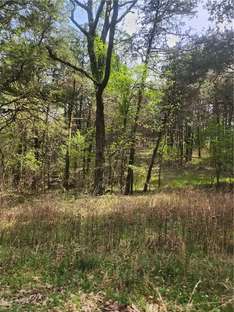 Lakeview, Ozark, AR 72847 photo 2