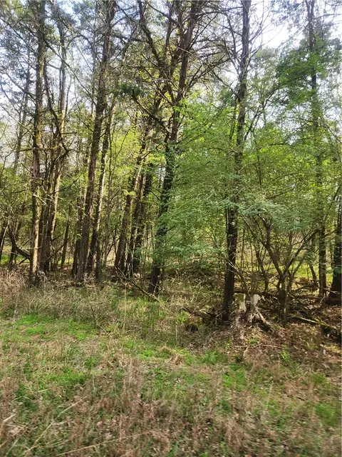 Lakeview, Ozark, AR 72847 photo 4