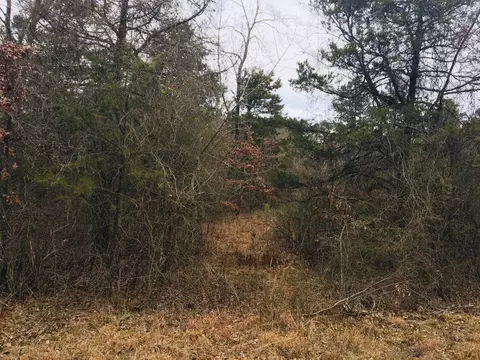 89 Eagles Nest, London, AR 72847