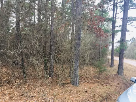 95 Eagles Nest Cr 1788, London, AR 72847
