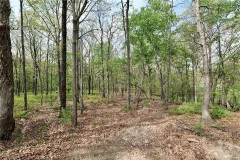 tbd Hummingbird Rd, Gravette, AR 72736