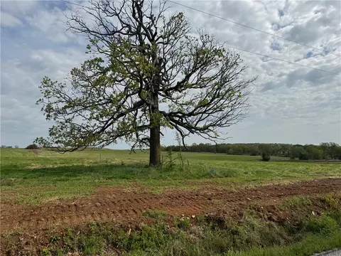 Tract G Old Cincinnati Road, Lincoln, AR 72744