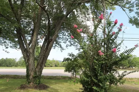 Other - 602 N Centennial, West Fork, AR 72774 photo 1 of 9