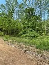 Arabian Drive, Rogers, AR 72756
