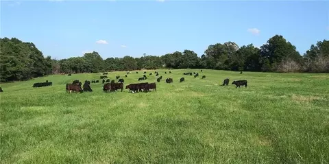 1550 Tbd County Rd, Compton, AR 72624 photo 4