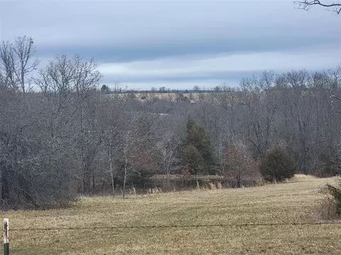 1550 Tbd County Rd, Compton, AR 72624 photo 15