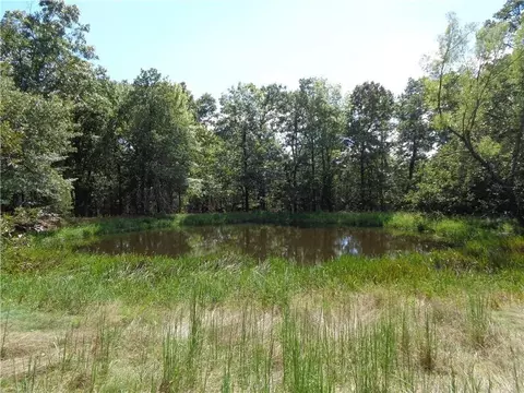 1550 Tbd County Rd, Compton, AR 72624 photo 23