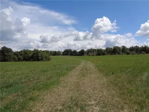 1550 Tbd County Rd, Compton, AR 72624 photo 22