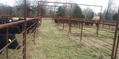 1550 Tbd County Rd, Compton, AR 72624 photo 7