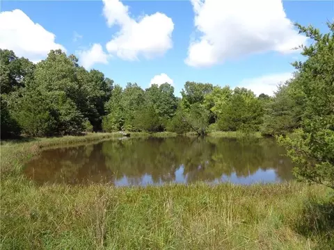1550 Tbd County Rd, Compton, AR 72624 photo 14