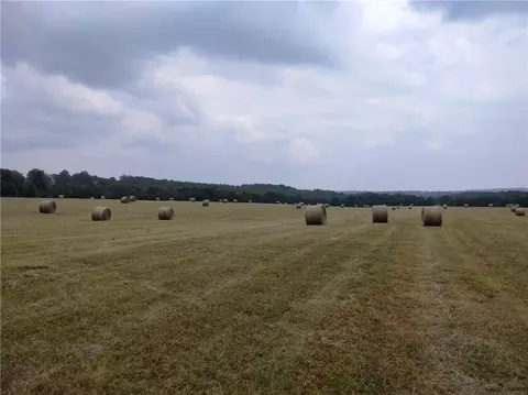 1550 Tbd County Rd, Compton, AR 72624 photo 3