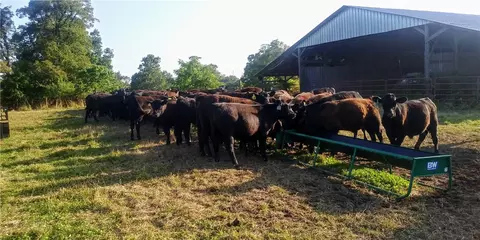 1550 Tbd County Rd, Compton, AR 72624 photo 6