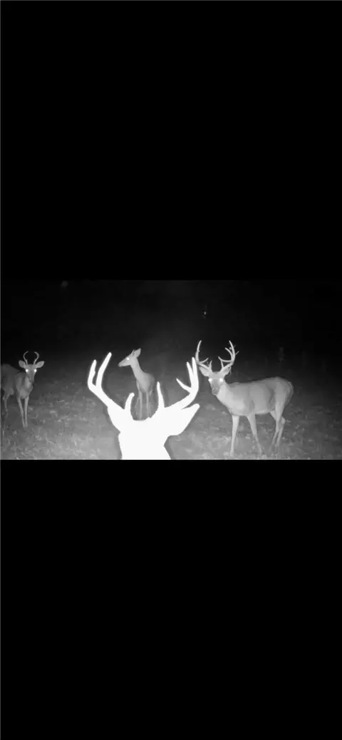 Other - 10814 Hwy 60, Plainview, AR 72857 photo 12 of 12