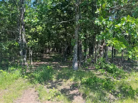 Madison County Road 6124, Elkins, AR 72727