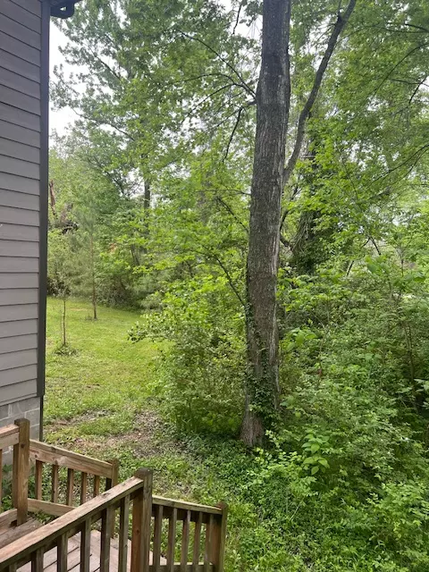 Exterior - 162 Maple Ave, West Fork, AR 72774 photo 14 of 18