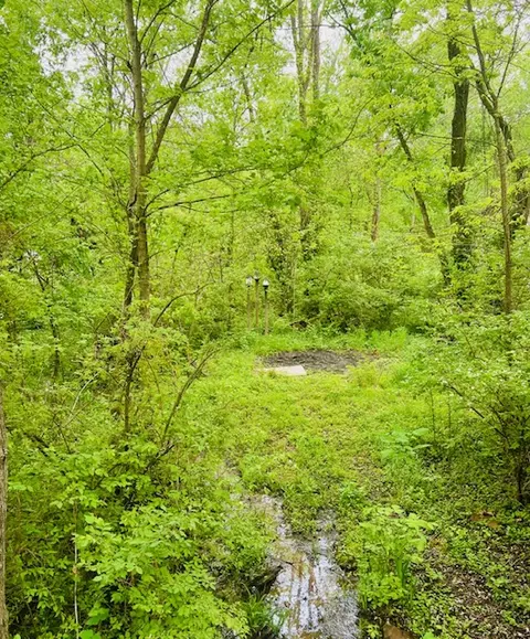 Other - 162 Maple Ave, West Fork, AR 72774 photo 9 of 17
