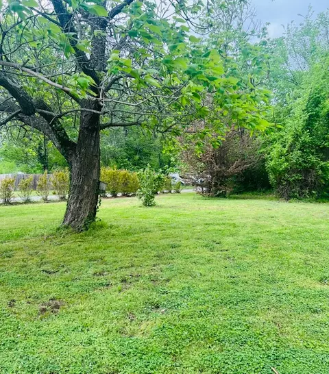 Exterior - 162 Maple Ave, West Fork, AR 72774 photo 3 of 18
