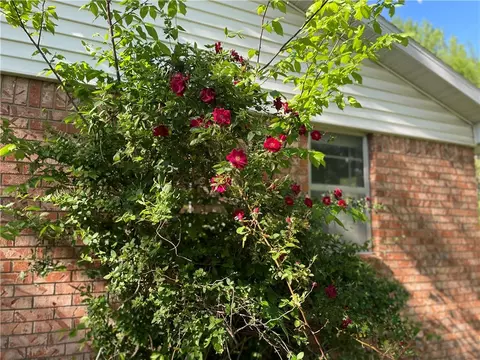 Exterior - 404 Michael St, Springdale, AR 72764 photo 4 of 15