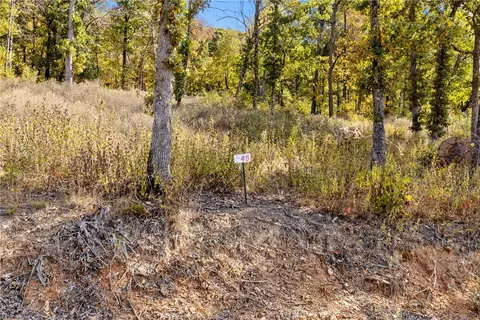 lot45 Restore Rdg, Harrison, AR 72601 photo 40
