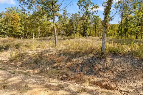 lot45 Restore Rdg, Harrison, AR 72601 photo 41