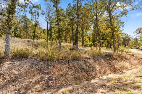 lot45 Restore Rdg, Harrison, AR 72601 photo 42
