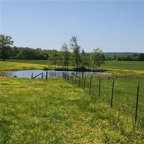 View/Area - 933 Walnut Rd, Hector, AR 72843 photo 4 of 4