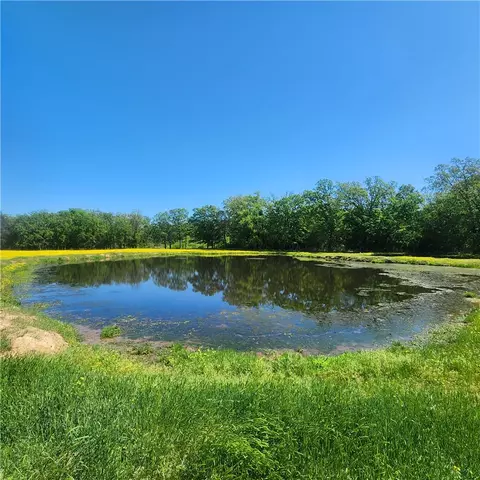 View/Area - 933 Walnut Rd, Hector, AR 72843 photo 3 of 4