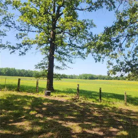 Exterior - 933 Walnut Rd, Hector, AR 72843 photo 8 of 14