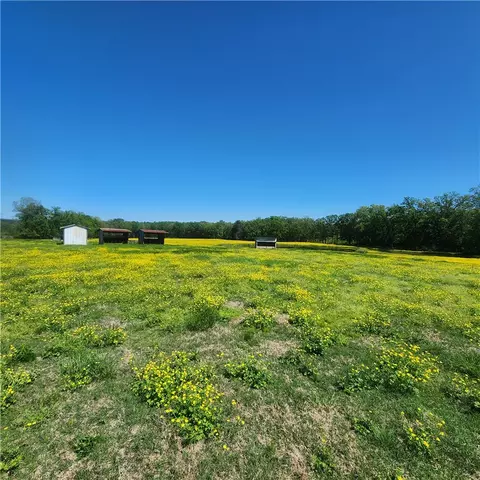 Other - 933 Walnut Rd, Hector, AR 72843 photo 4 of 25