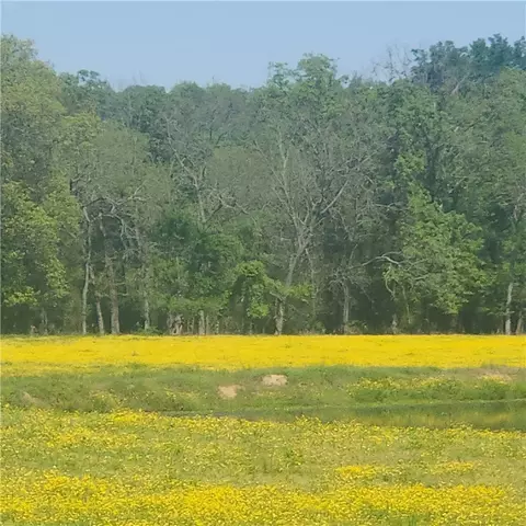 Other - 933 Walnut Rd, Hector, AR 72843 photo 5 of 25
