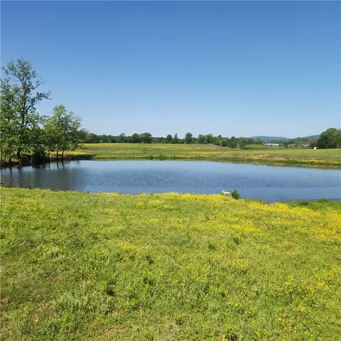 933 Walnut Rd, Hector, AR 72843