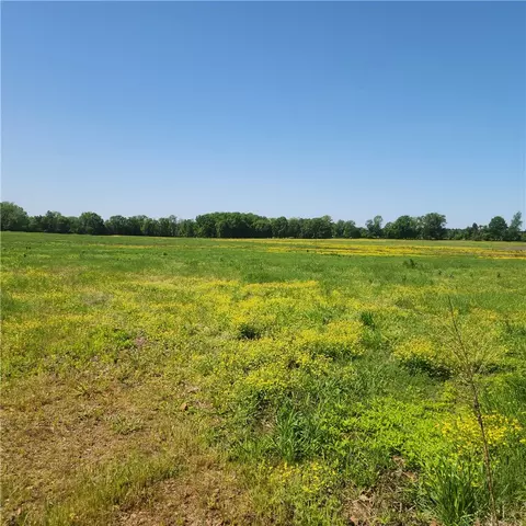 Other - 933 Walnut Rd, Hector, AR 72843 photo 15 of 25