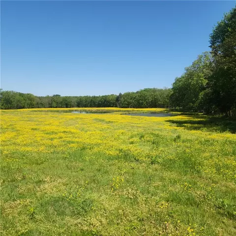 View/Area - 933 Walnut Rd, Hector, AR 72843 photo 2 of 4