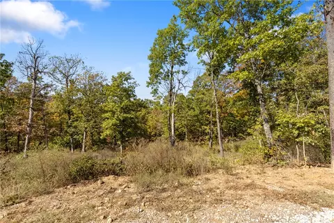 lot83 Restore Rdg, Harrison, AR 72601 photo 41