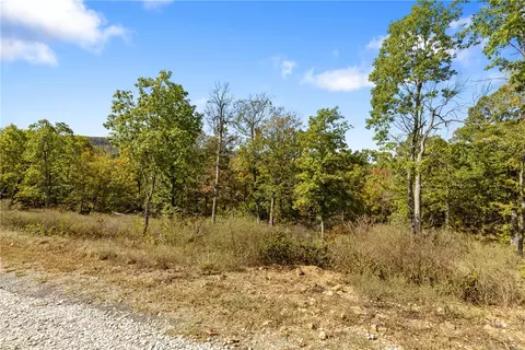 lot83 Restore Rdg, Harrison, AR 72601 photo 42