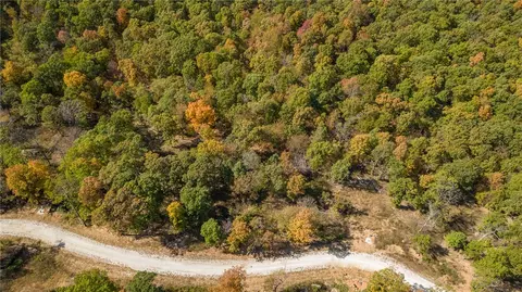 lot82 Restore Rdg, Harrison, AR 72601 photo 44