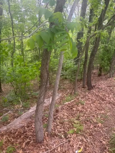 lot8 Deddington Dr, Bella Vista, AR 72714