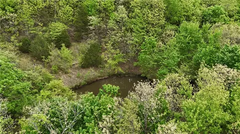 Nc1700, Compton, AR 72624 photo 6