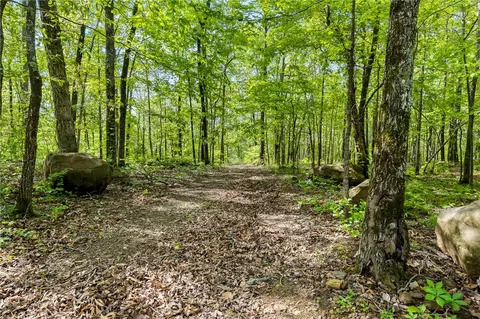 Exterior - 4459 Nc 8650, Jasper, AR 72641 photo 8 of 8