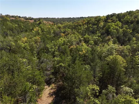 N/a Bear Bottom, Lead Hill, AR 72644