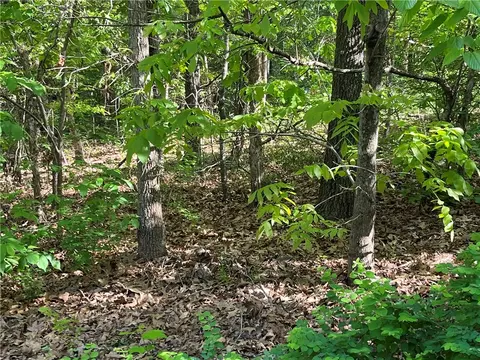 lot6 Block 8 Welland Ln, Bella Vista, AR 72715