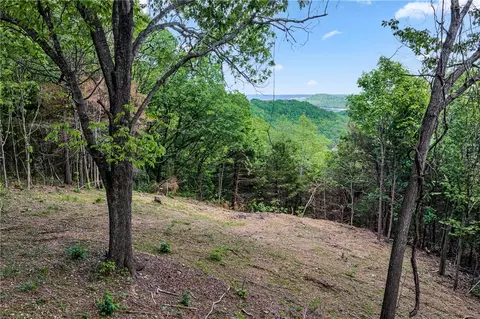 12924 Shaffer Rd, Garfield, AR 72732 photo 37