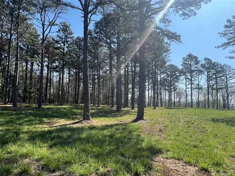 977 Nc 6827, Jasper, AR 72641 photo 32